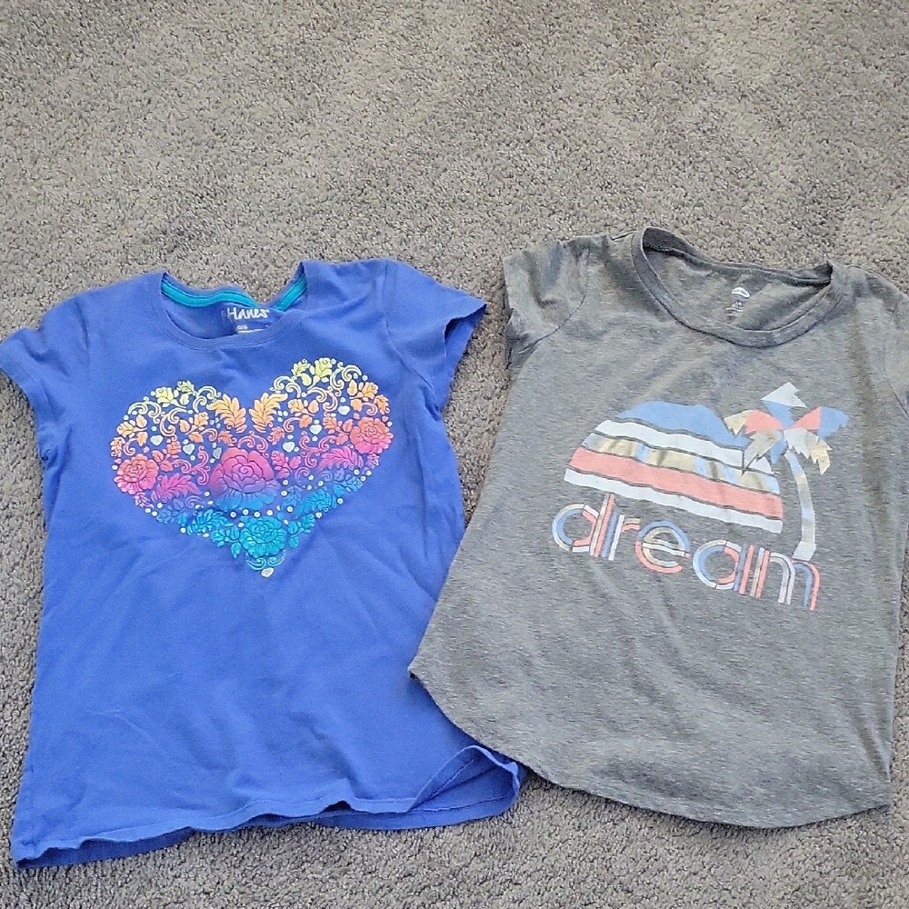 Hanes Kids Short Sleeve Tees - Blue and Gray